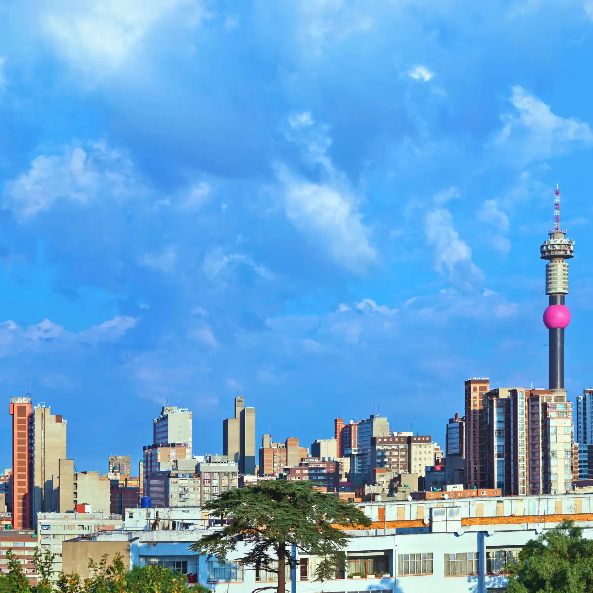 Johannesburg skyline under a bright blue sky, showing city buildings and the Hillbrow Tower in South Africa.