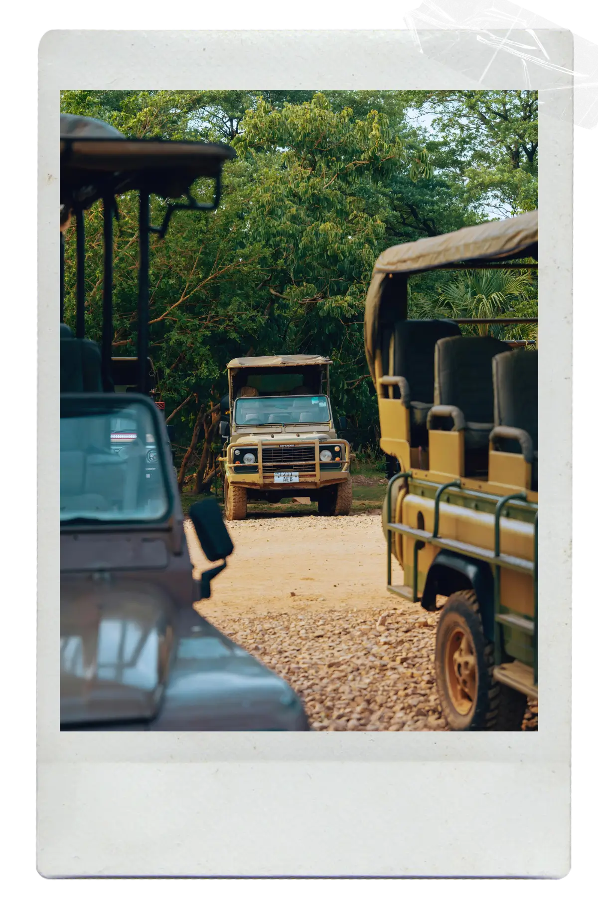 Safari vehicles on a game drive in Africa, capturing the adventure and wildlife travel experience.