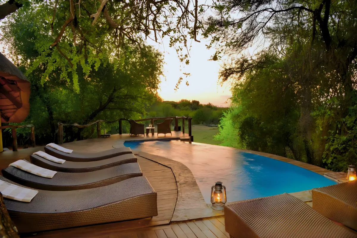 Safari lodge pool and wooden deck surrounded by trees in South Africa.