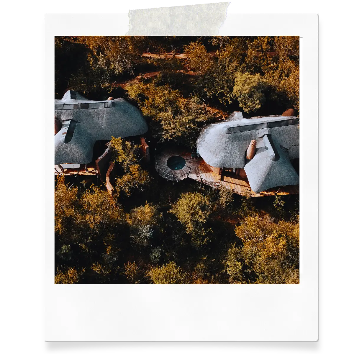 Aerial view of Tau Lodge surrounded by bush in Madikwe Game Reserve, South Africa.