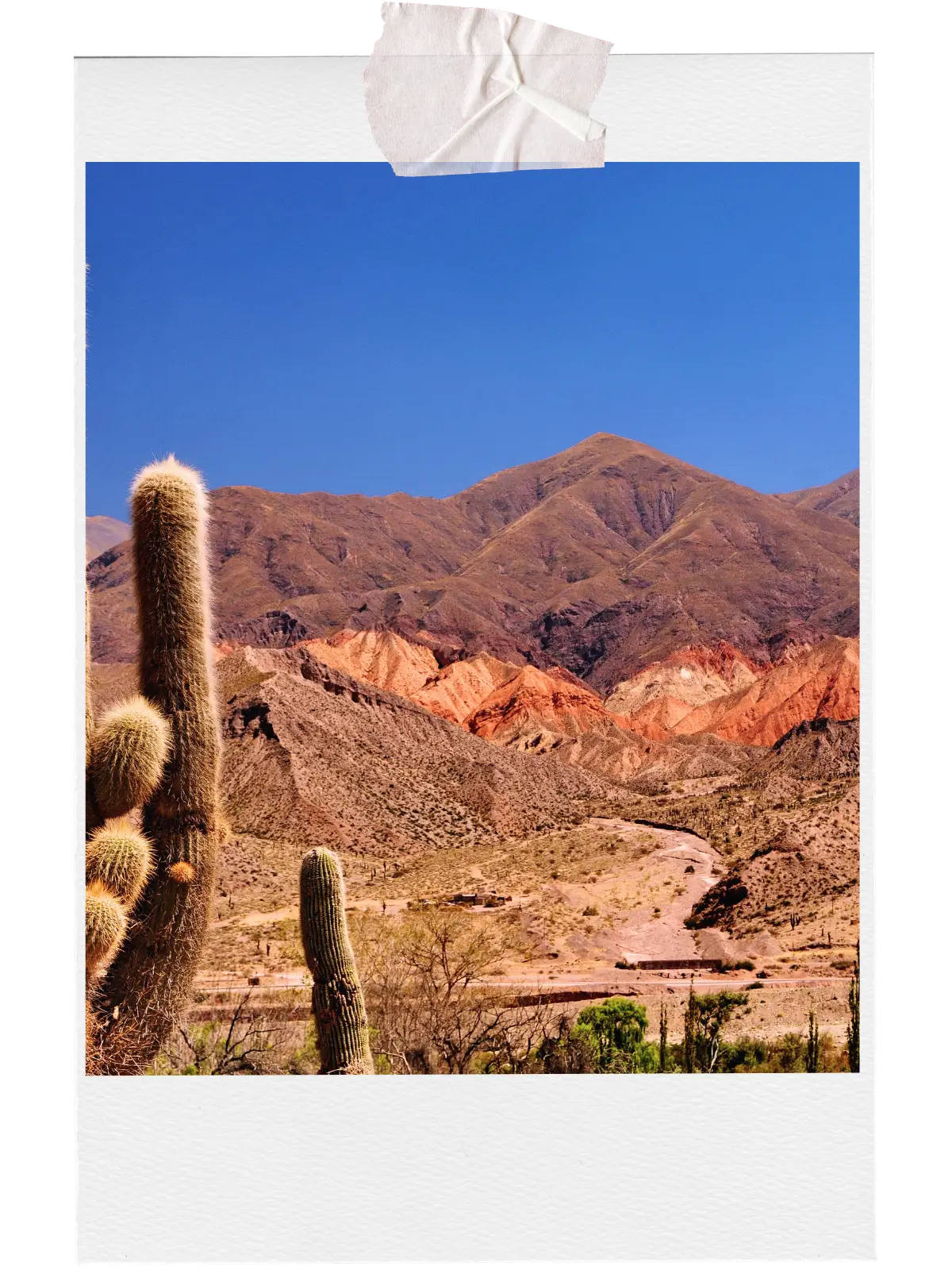 Coloured mountain landscape in northwest Argentina with desert terrain and tall cactus.
