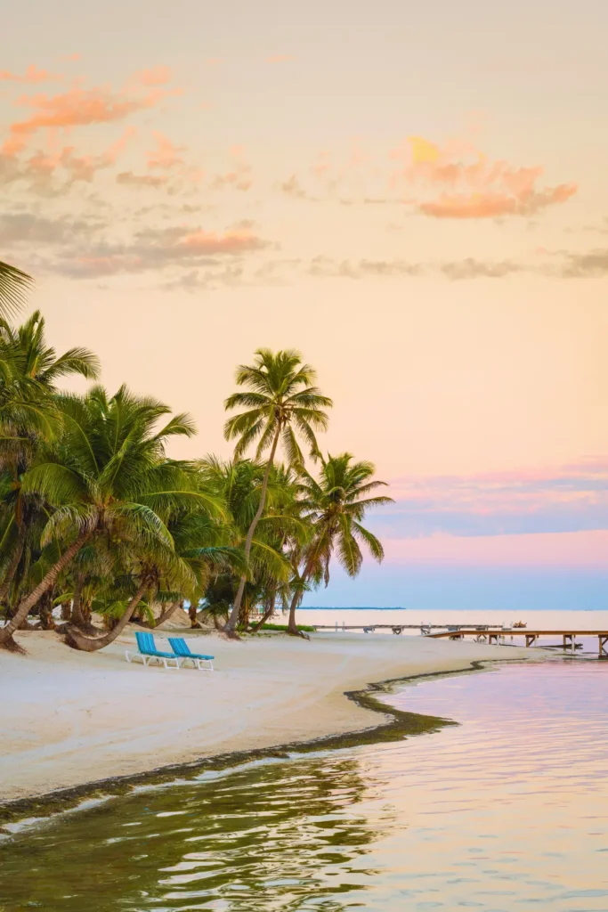 Palm-lined beach along the Belize Barrier Reef at sunset.