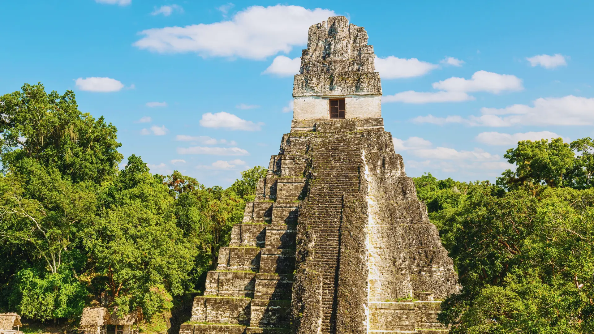 Mayan pyramid rising above jungle canopy in Tikal National Park, Guatemala.