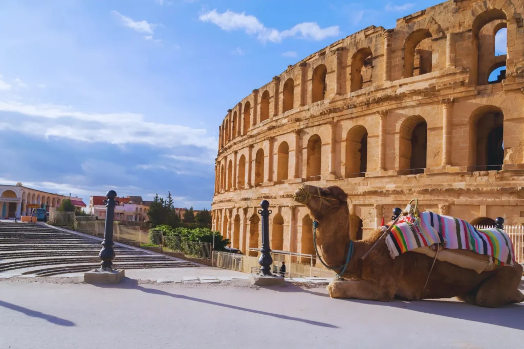 Camel resting outside the ancient El Djem Amphitheatre with warm stone arches in Tunisia.