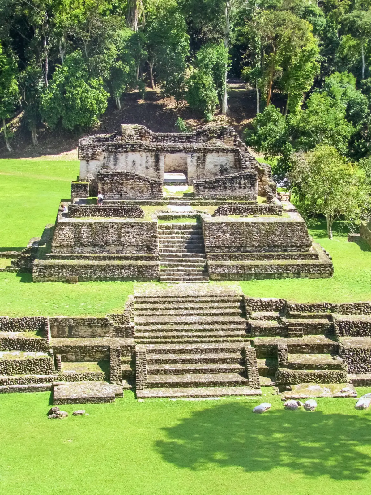 Mayan stone temple ruins surrounded by lush green jungle in Belize.