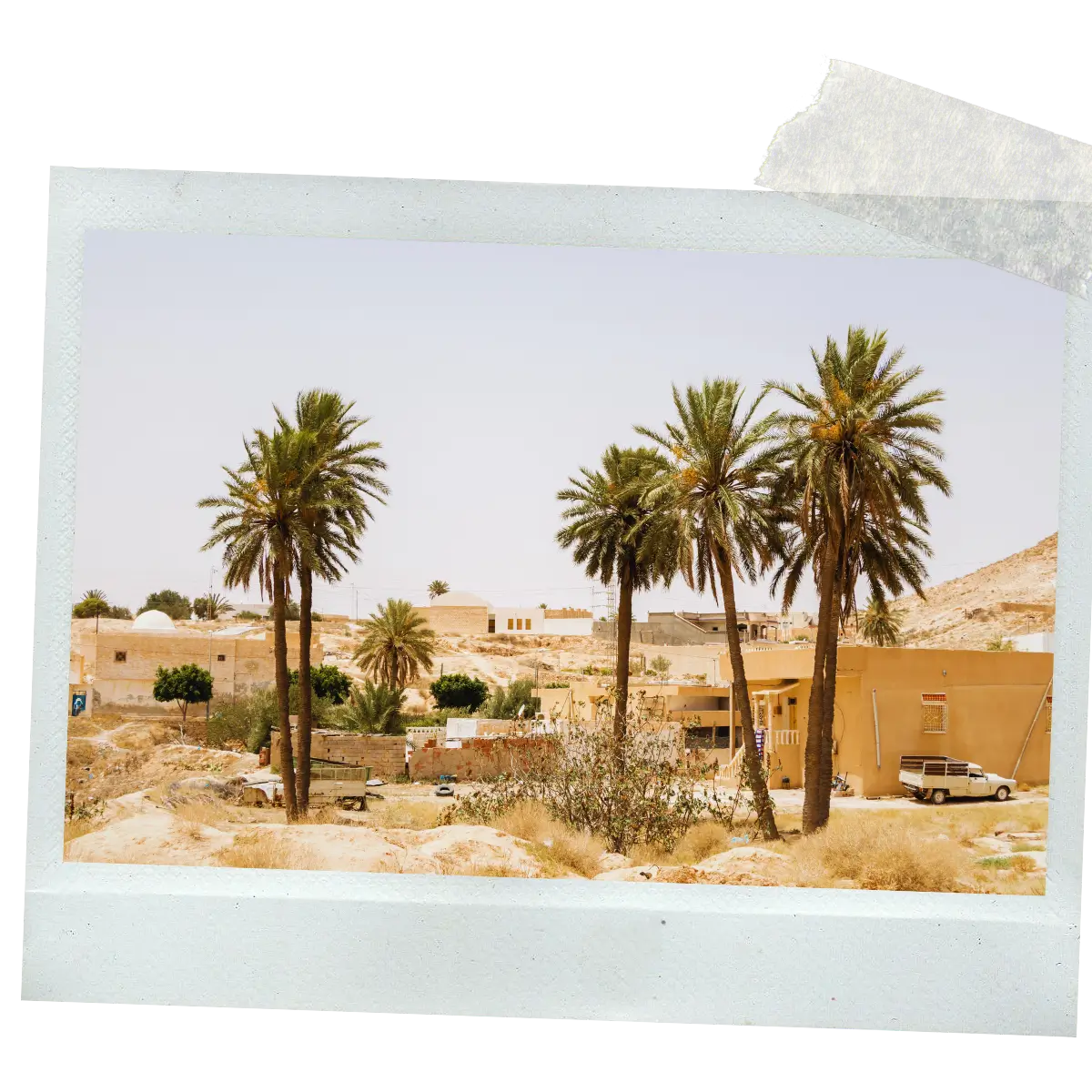 Palm trees rising above a quiet desert village oasis in southern Tunisia.