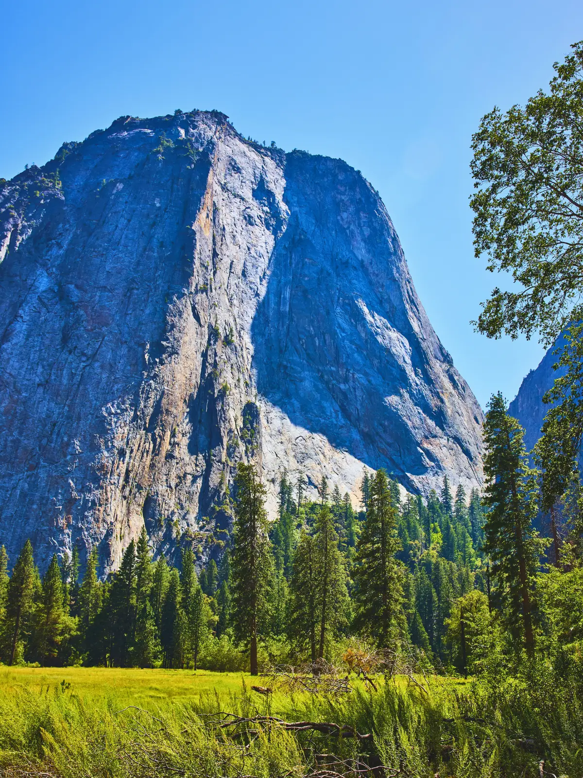 Granite cliffs rising above green meadows and pine trees in Yosemite National Park.