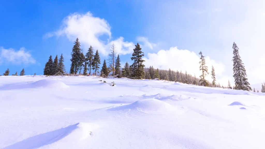 Winter landscape in Cortina d’Ampezzo with snow and alpine trees.
