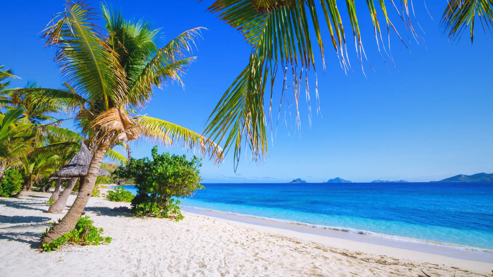 Tropical beach in Fiji with palm trees, white sand, and clear blue ocean under a bright blue sky.