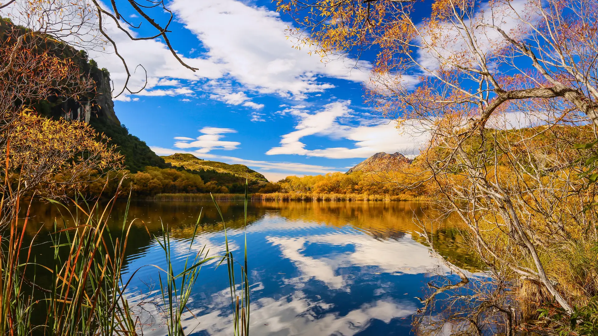 Autumn trees reflected in a calm lake in New Zealand’s South Island with blue sky and scattered clouds.