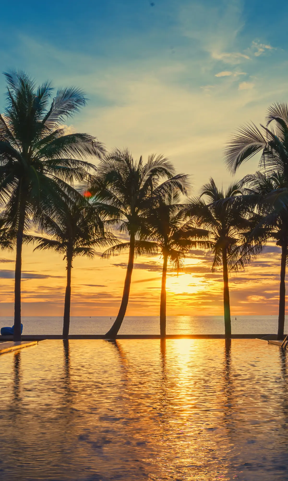 Palm trees at sunset overlooking the ocean at a tropical resort in Fiji.