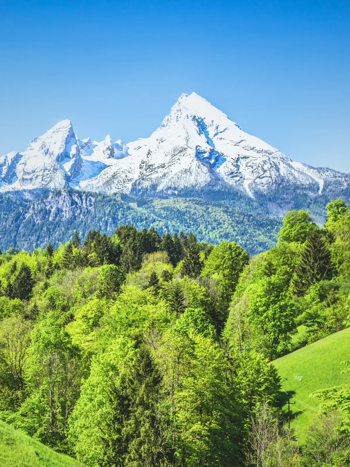 Snow-capped Bavarian Alps rising above green forest and rolling hills.