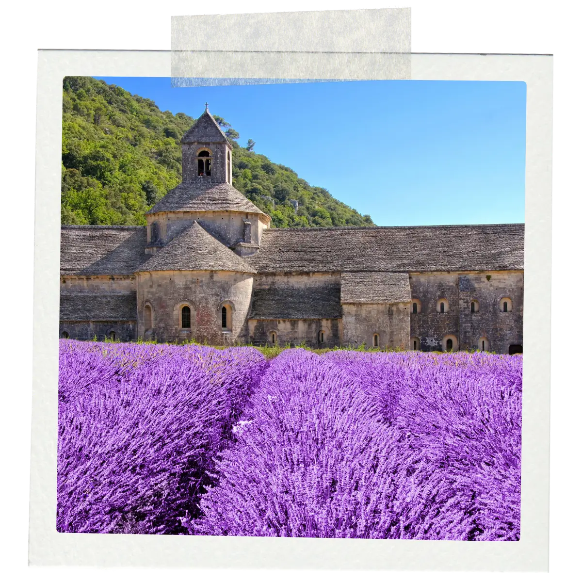 Stone abbey behind purple lavender fields in Provence.