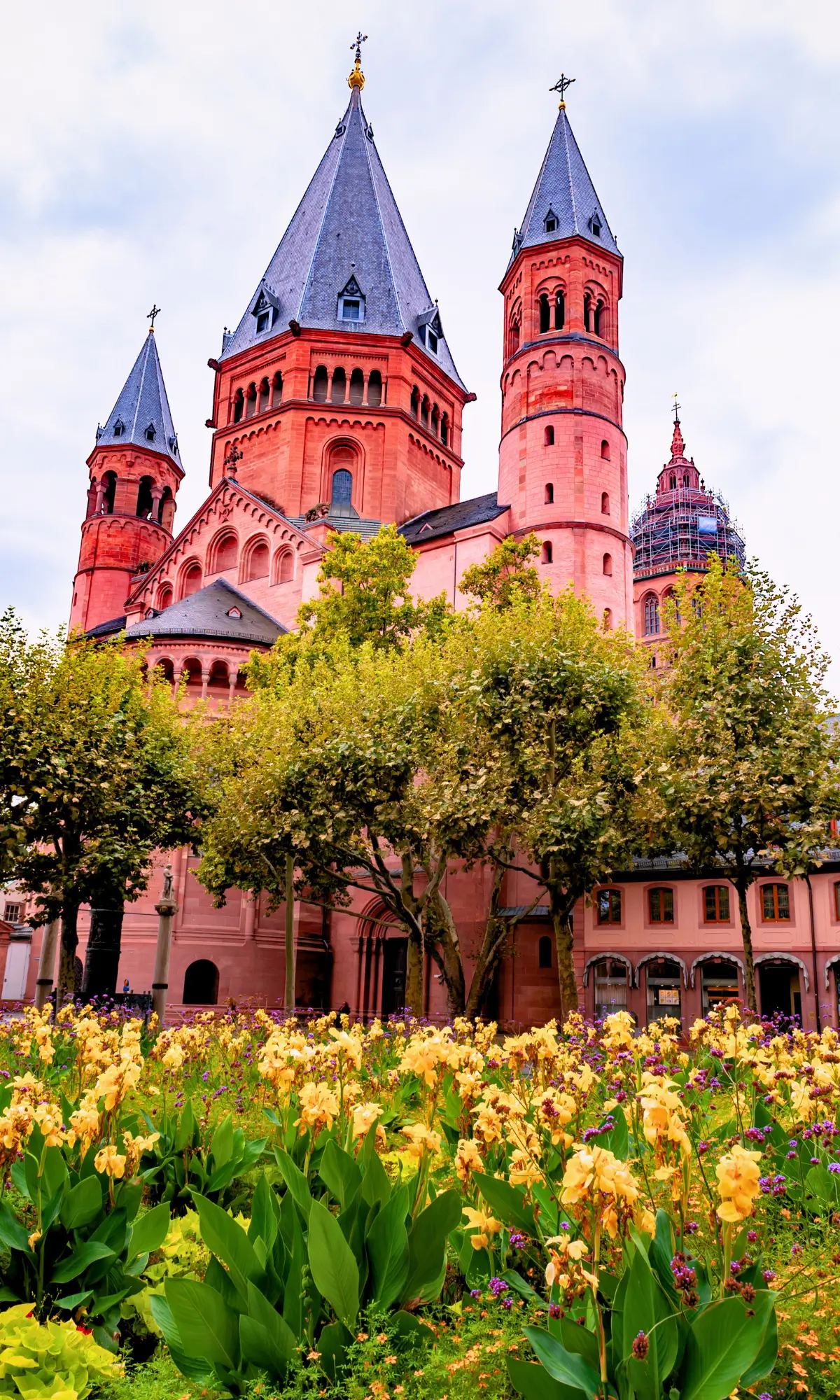 Mainz Cathedral with pointed towers behind a garden of yellow flowers and trees.