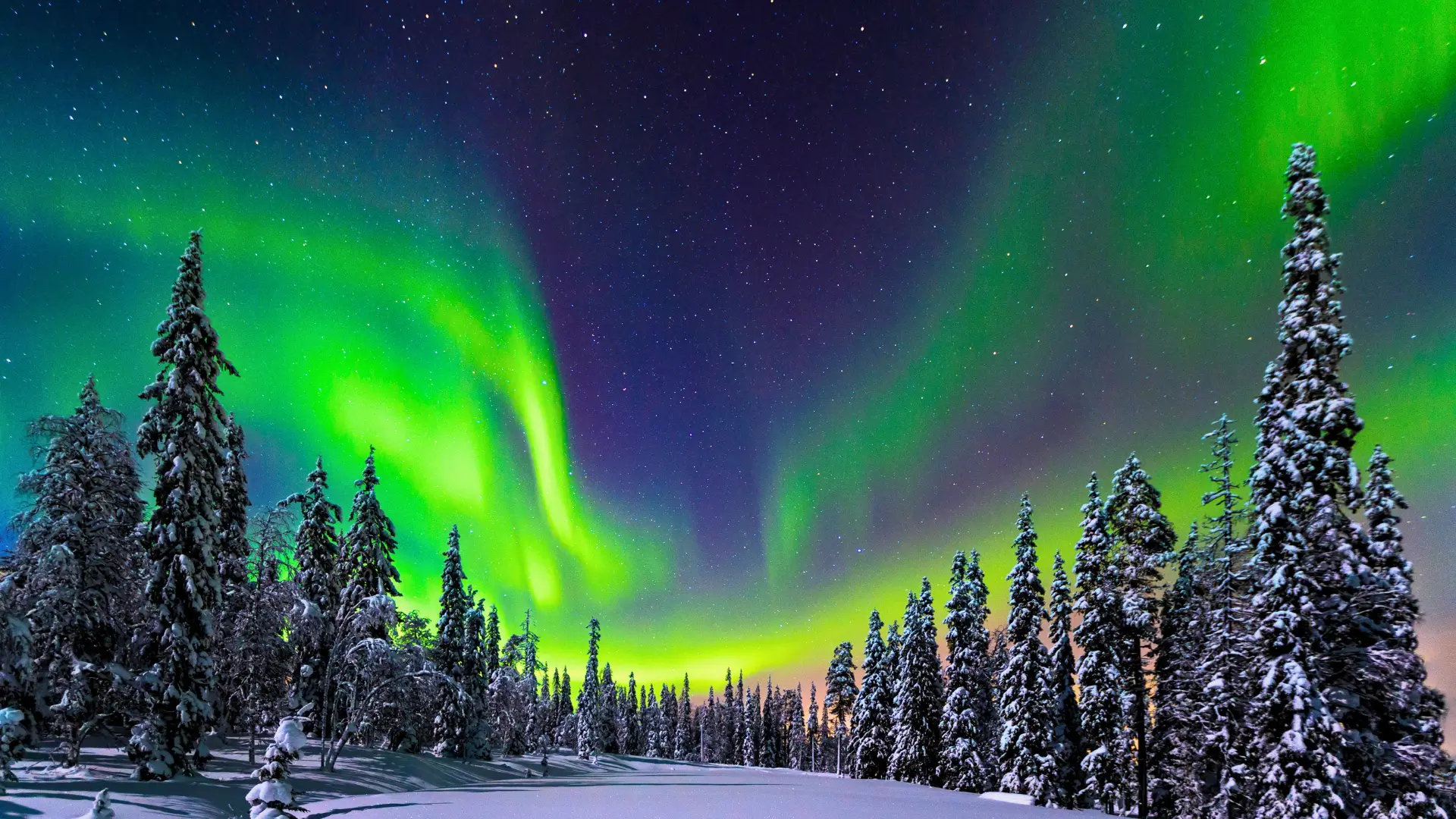 Northern lights over a snowy forest in Lapland with green aurora across a starry sky.