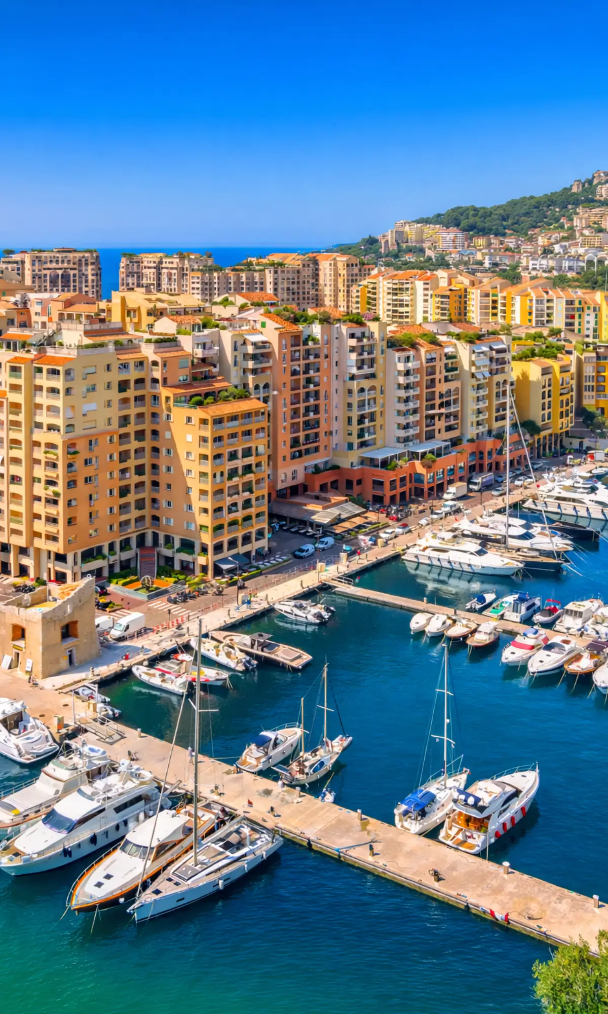 Day view of the harbour with yachts and buildings rising along the coast.