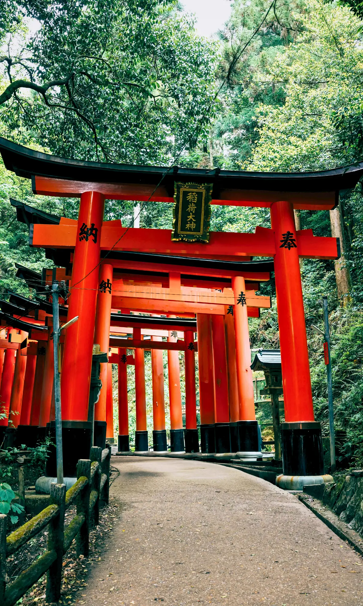 Path lined with red torii gates at Fushimi Inari Taisha in Kyoto.