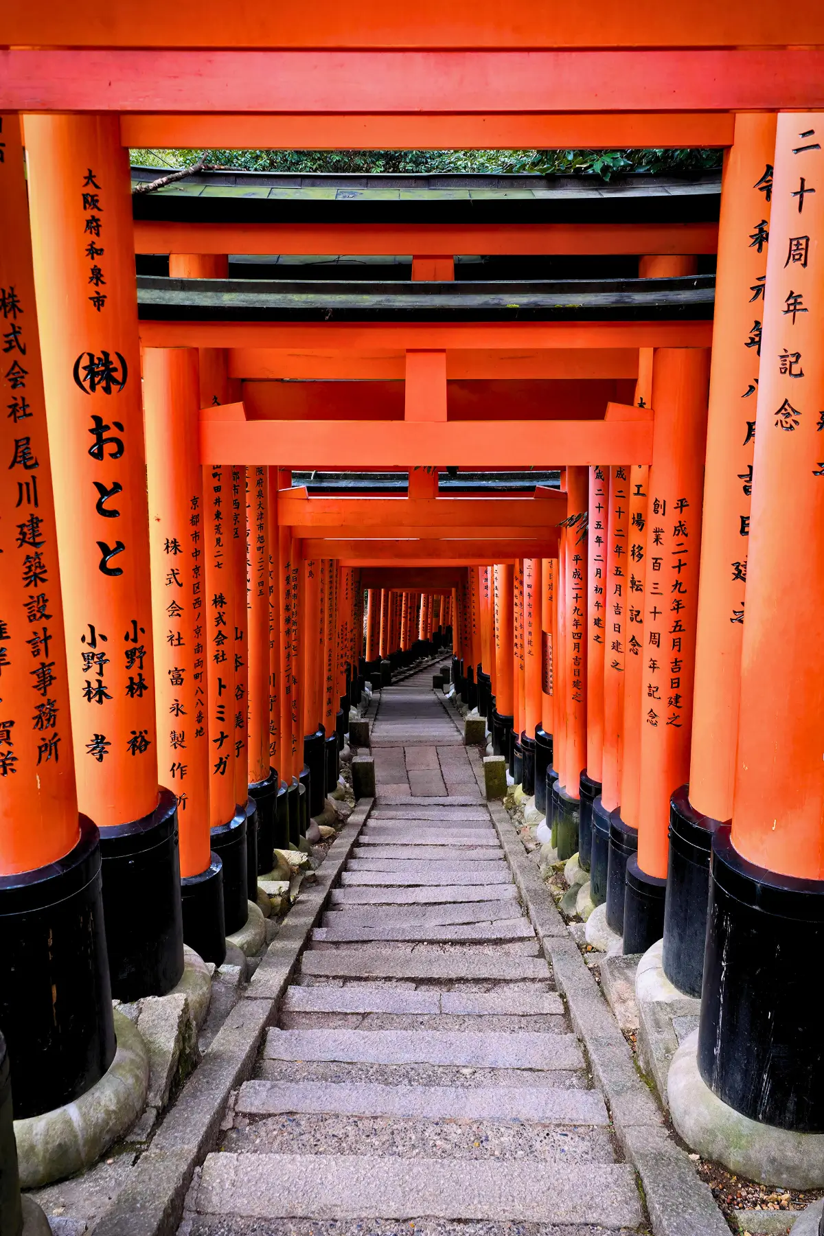 Path lined with red torii gates at Fushimi Inari Taisha.