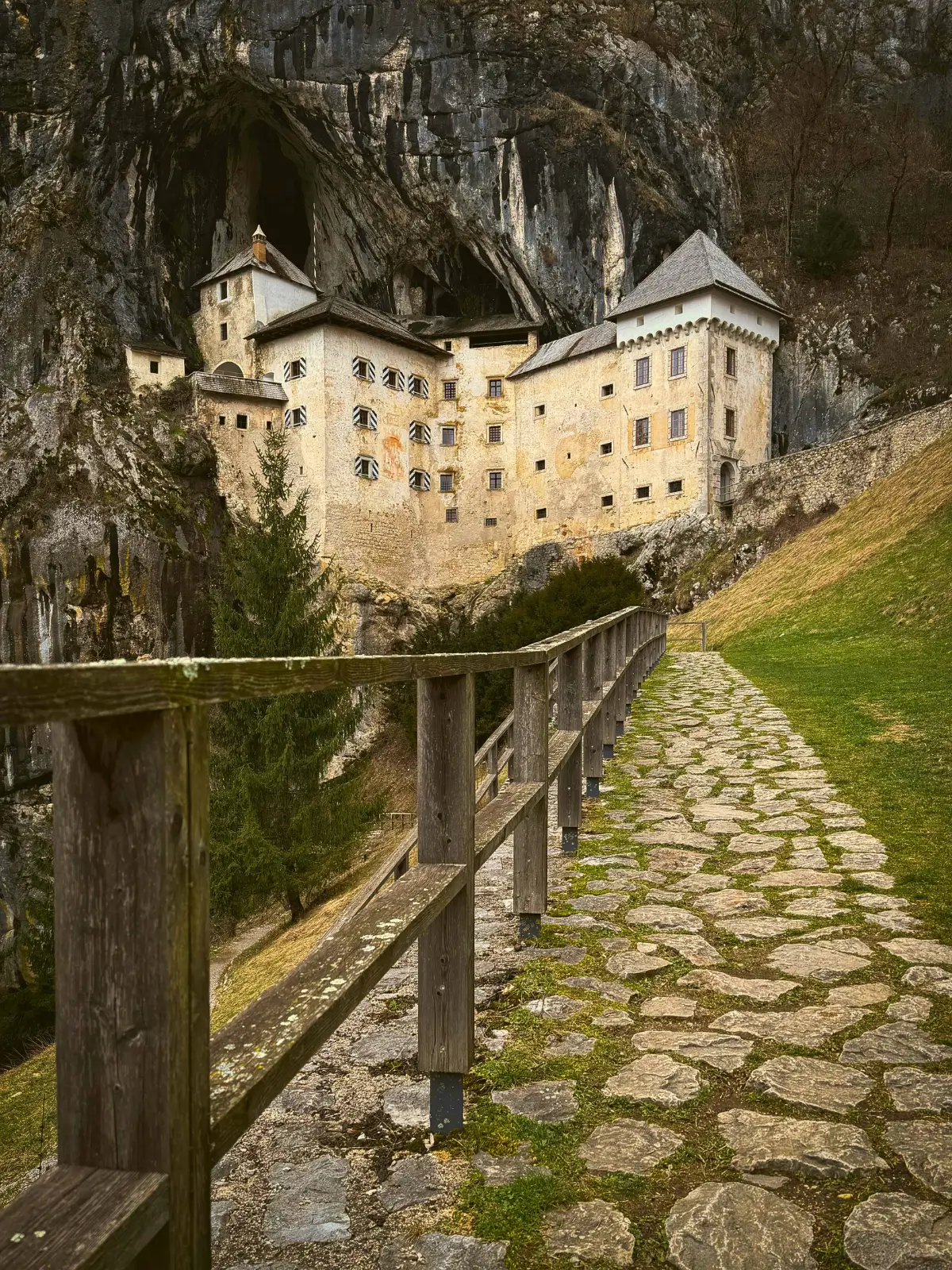 Clear river with snow-covered rocks and trees along the Sava Bohinjka in winter.