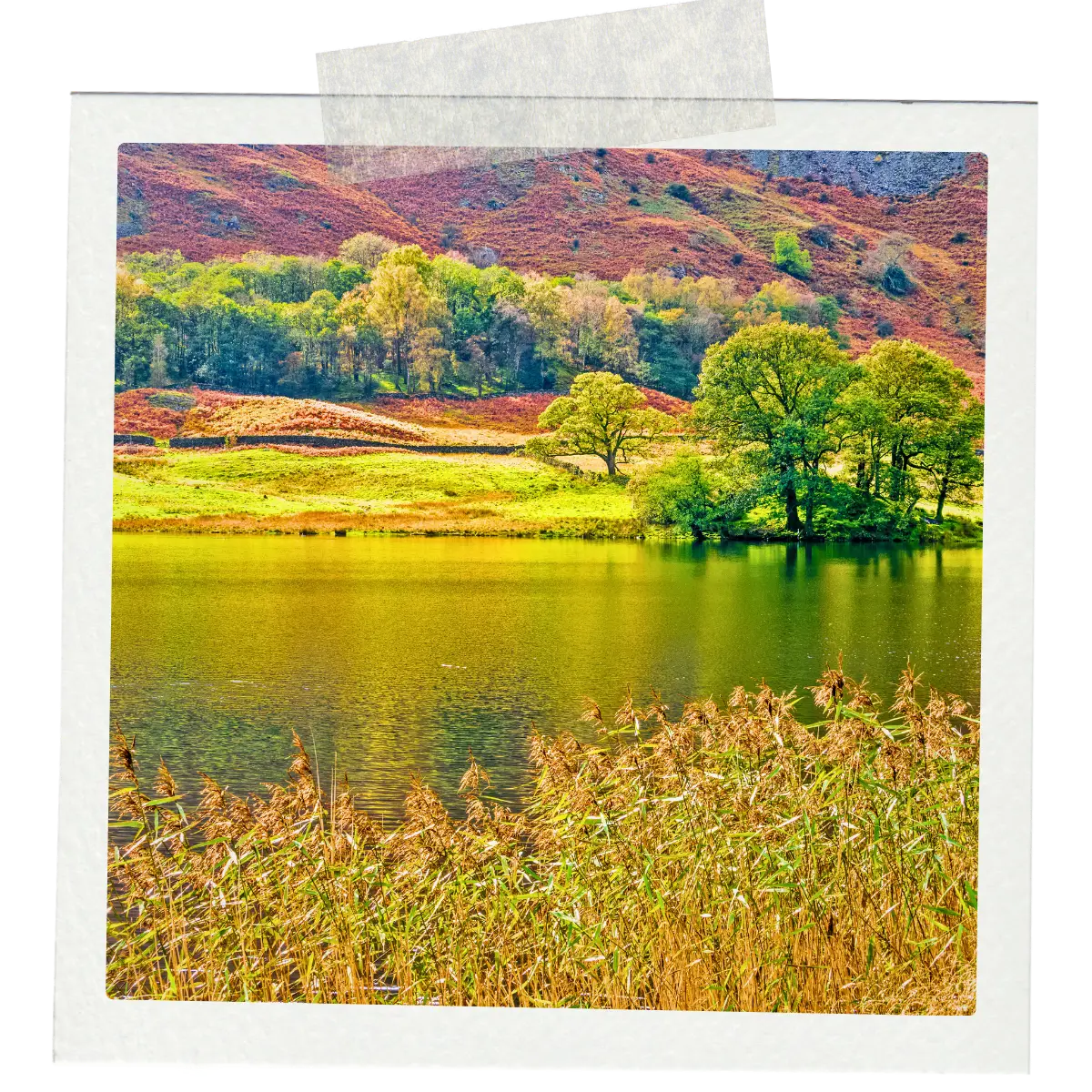 Rydal Water in the Lake District with calm water, autumn trees, and hills in the background.