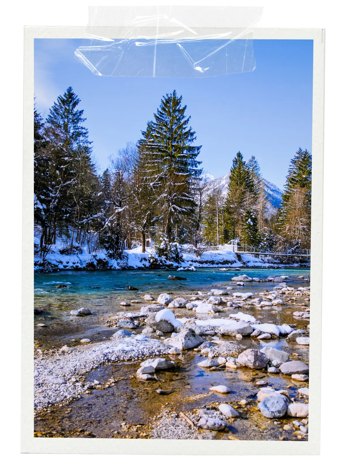 Clear river with snow-covered rocks and trees along the Sava Bohinjka in winter.
