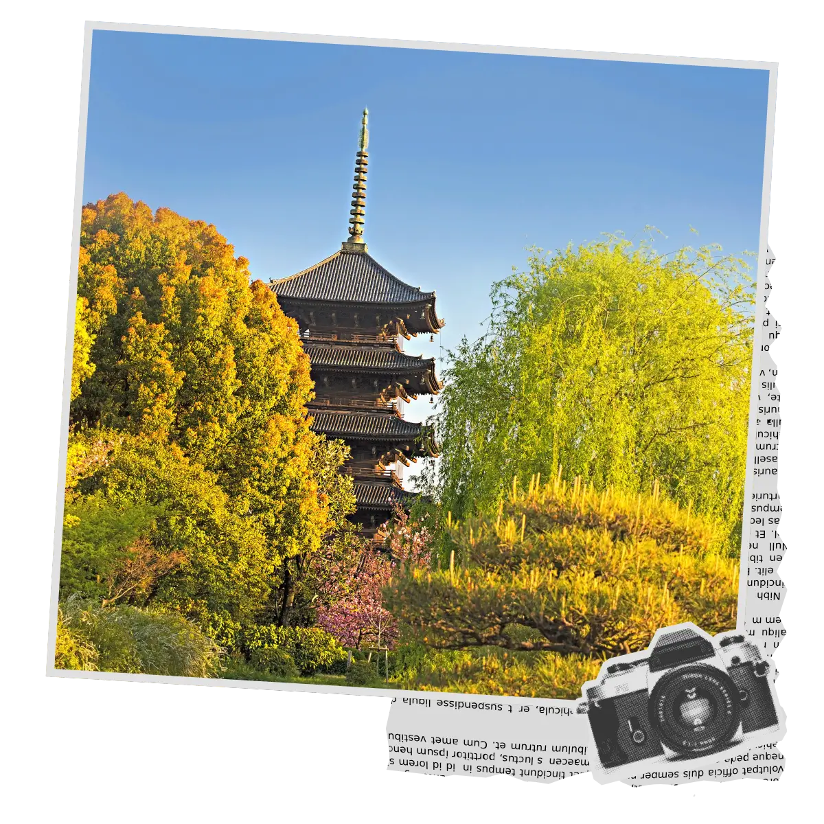 Five-storey pagoda at To-ji Temple surrounded by seasonal trees.