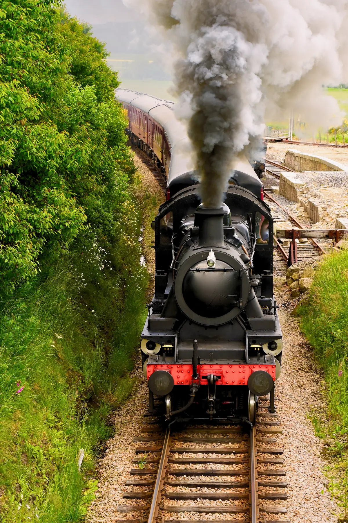 Historic steam train travelling along the railway through the Douro region.