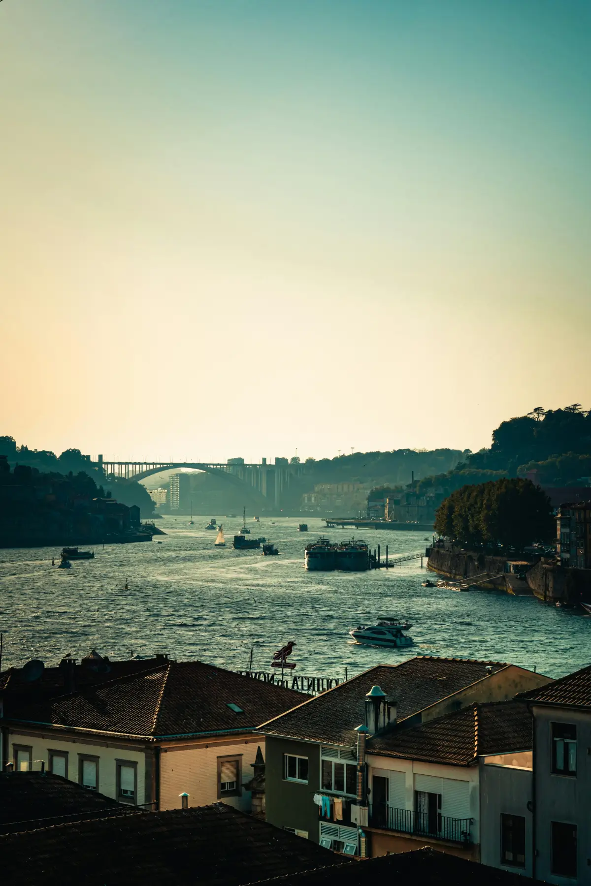 Douro River and riverside buildings in the evening light.