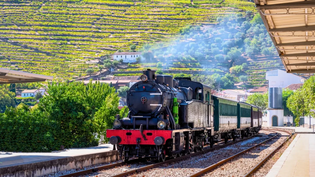 Historic train passing terraced vineyards in the Douro Valley, Portugal.