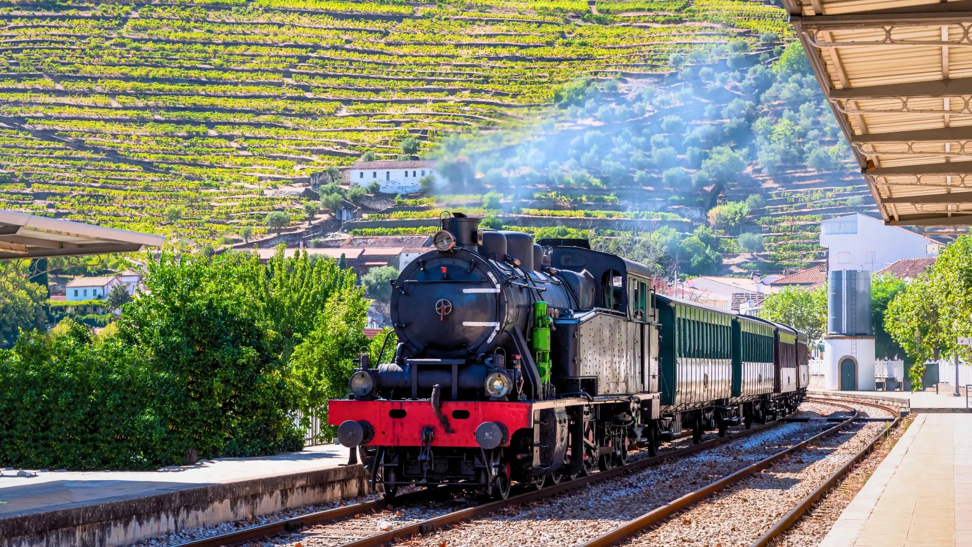 Historic train passing terraced vineyards in the Douro Valley, Portugal.