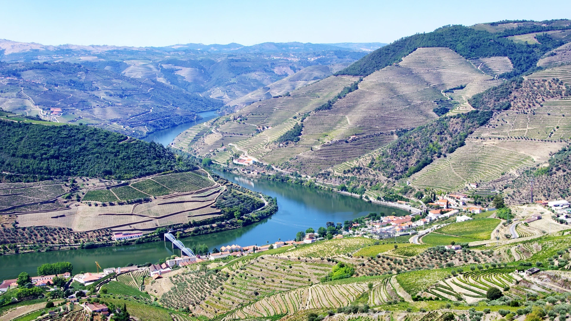 View over Pinhão, the Douro River and terraced vineyards from Casal de Loivos.