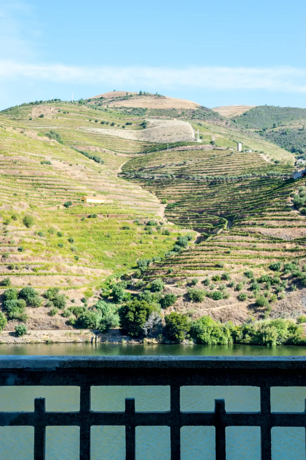 Terraced vineyard hills rising above the Douro River in northern Portugal.
