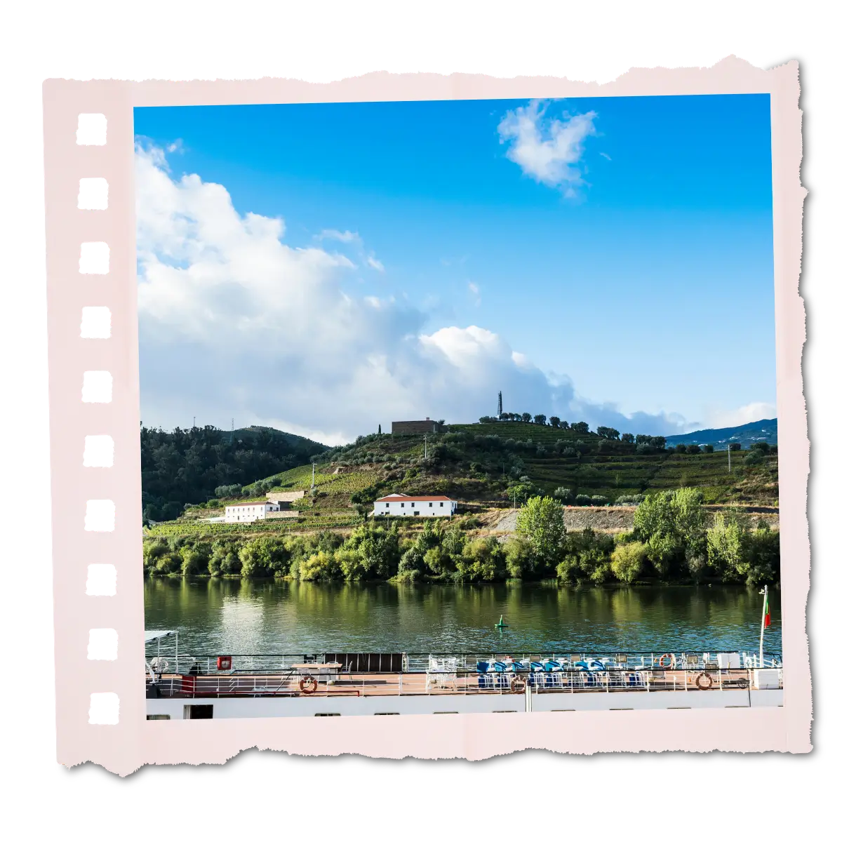 Terraced vineyards along the Douro River.
