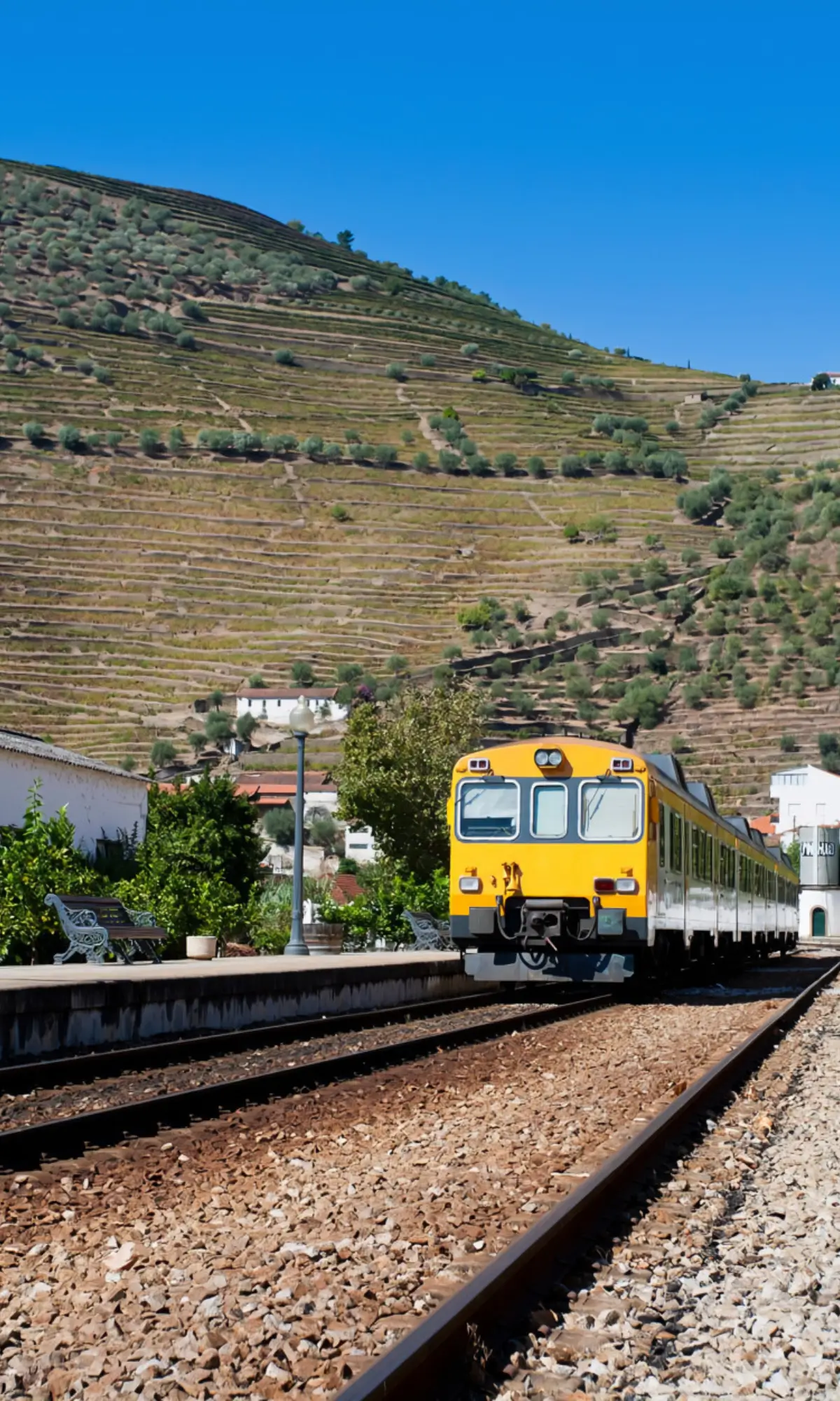 Train arriving at Pinhão Station below terraced hills.