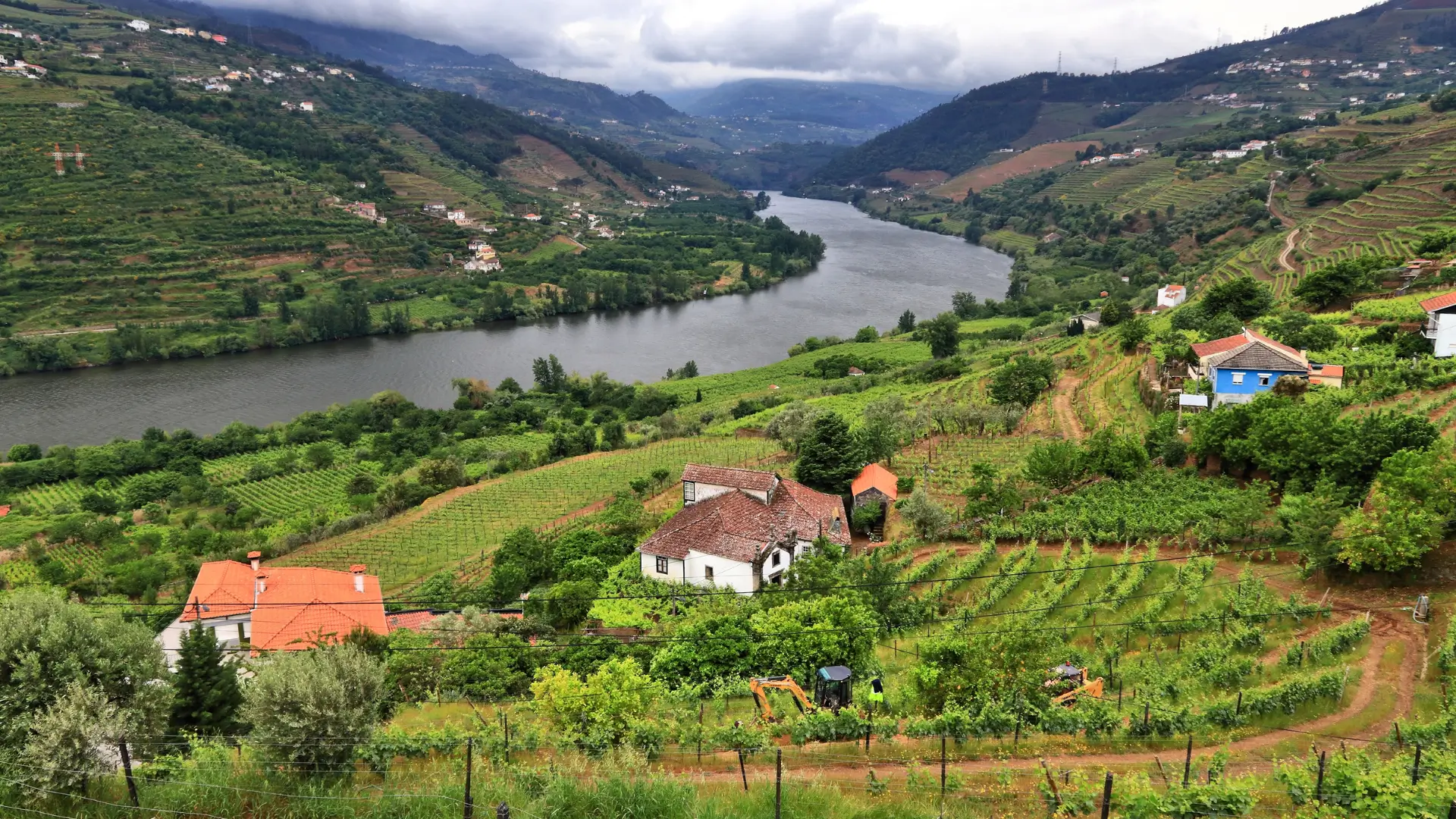 Vineyard estates among terraced vines overlooking the Douro River.