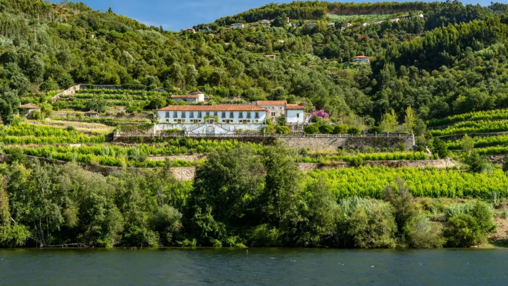 Vineyard estate overlooking the Douro River in Portugal.