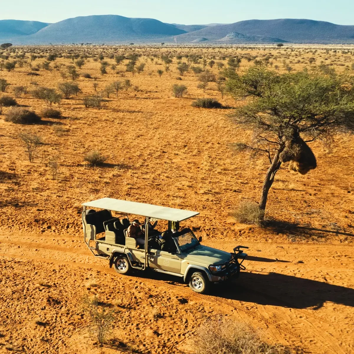 Open safari landscape in South Africa with a game drive vehicle crossing dry plains and acacia trees.